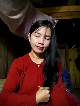 lmc-zz online show from November 20, 2025, 11:47 pm