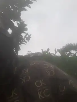 bree-zz online show from November 13, 2025, 12:47 am