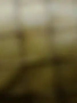 Snapshot of Rs_sonam chatting on December 3, 2025, 10:58 am Rs sonam online show from December 3, 2025, 10:58 am