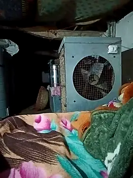 Lona2525 online show from February 16, 2026, 8:40 pm