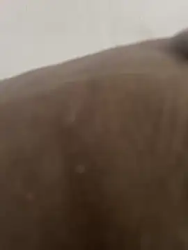 La piada online show from October 29, 2025, 10:36 am