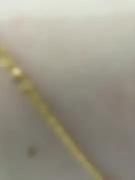 lee ly online show from March 21, 2026, 1:26 pm