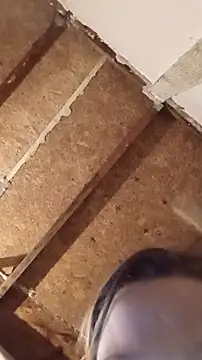 Queen2454 online show from March 8, 2026, 12:41 pm