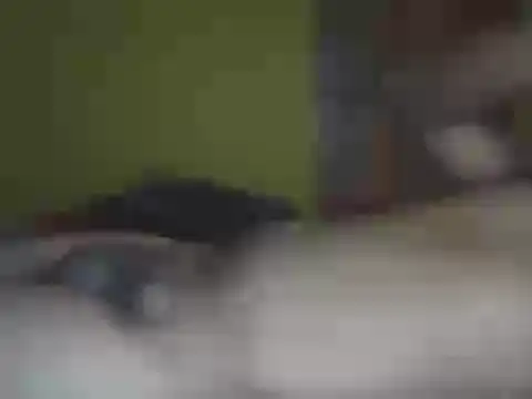 Hhhggghrrr3219 online show from March 25, 2026, 7:35 pm