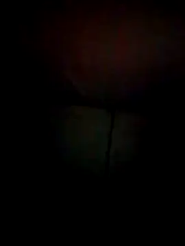 RAJV  online show from November 4, 2025, 11:03 am