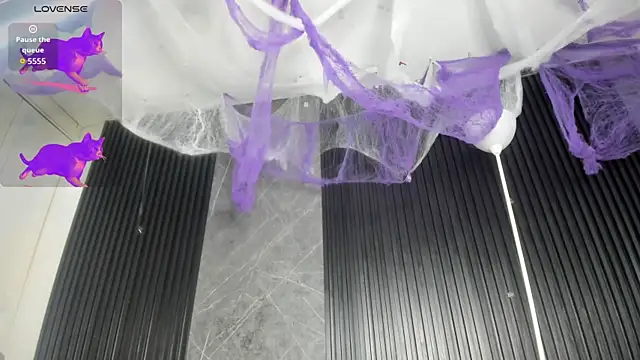 cloemorningstar online show from October 31, 2025, 2:46 pm