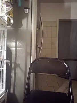 Snapshot of Curious9884 chatting on October 2, 2025, 12:36 am Curious9884 online show from October 2, 2025, 12:36 am