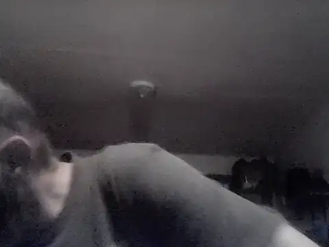 Snapshot of crazyheratic8 chatting on November 13, 2025, 11:19 pm crazyheratic8 online show from November 13, 2025, 11:19 pm