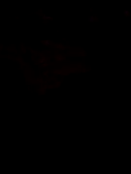 Snapshot of LewdHug51 chatting on October 1, 2025, 4:44 pm LewdHug51 online show from October 1, 2025, 4:44 pm