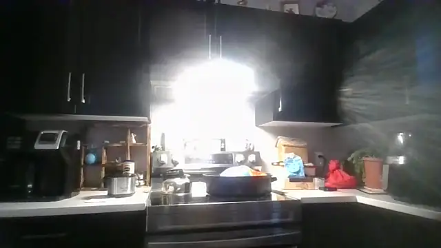 Snapshot of october1992xx chatting on December 14, 2025, 8:47 pm october1992xx online show from December 14, 2025, 8:47 pm