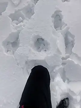 Snapshot of Sert_erkek21_ysm chatting on January 6, 2026, 1:15 pm Sert erkek21 ysm online show from January 6, 2026, 1:15 pm