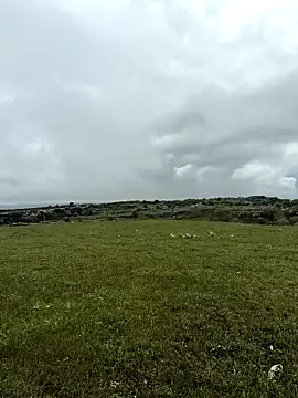 Sert erkek21 ysm online show from April 20, 2026, 1:13 pm