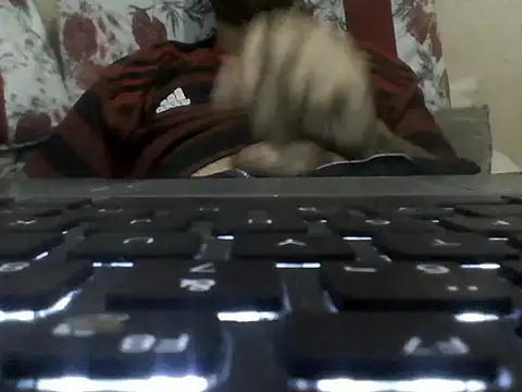 brunnosilva30 online show from October 30, 2025, 1:04 am