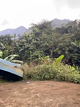 Snapshot of Pii_x chatting on November 21, 2025, 1:04 am Pii x online show from November 21, 2025, 1:04 am