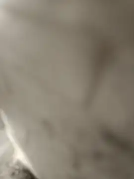 Snapshot of pn12345 chatting on December 17, 2025, 4:28 am pn12345 online show from December 17, 2025, 4:28 am