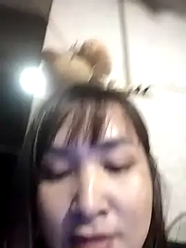 Jeassi-sica online show from November 24, 2025, 11:10 am