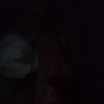 Aragis35 online show from December 5, 2025, 6:56 am