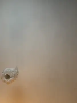 Snapshot of Teengirlmiaa chatting on November 9, 2025, 1:59 pm Teengirlmiaa online show from November 9, 2025, 1:59 pm