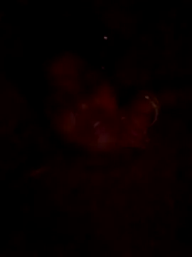 Tg sonam online show from October 23, 2025, 4:16 pm