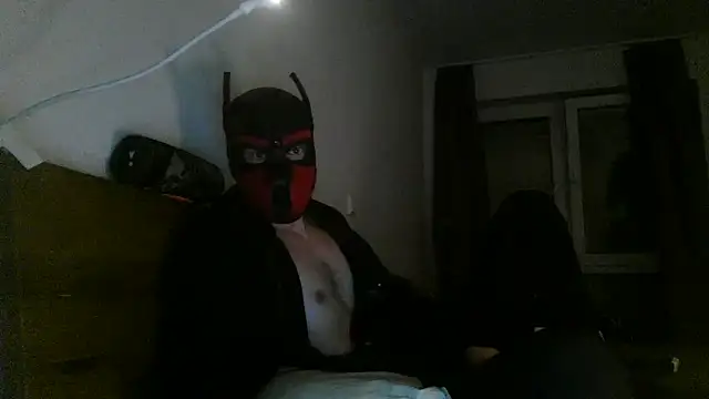 MolleDolle online show from December 3, 2025, 10:53 pm