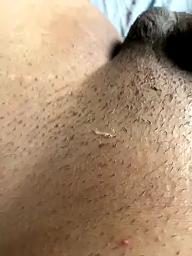 Snapshot of leiteiro2002 chatting on November 5, 2025, 8:23 pm leiteiro2002 online show from November 5, 2025, 8:23 pm