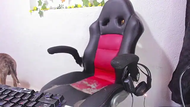 soffycarter1 online show from November 25, 2025, 11:16 pm