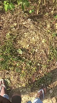 BiggerDickGuy online show from November 14, 2025, 4:38 am