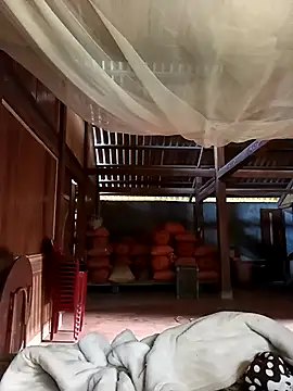 Snapshot of jerry-xx chatting on December 2, 2025, 8:05 am jerry-xx online show from December 2, 2025, 8:05 am