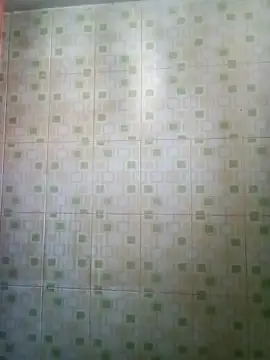 Megla879 online show from November 15, 2025, 6:39 am