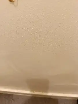  Gabriela 5Live online show from November 10, 2025, 5:07 pm