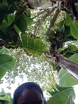 Co punam online show from April 1, 2026, 8:26 am