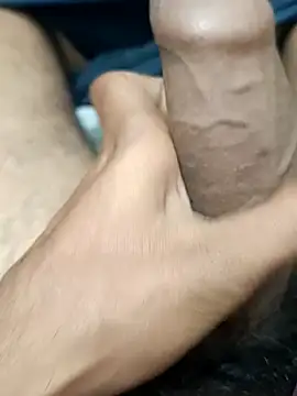 Snapshot of siddBus chatting on October 29, 2025, 3:27 am siddBus online show from October 29, 2025, 3:27 am