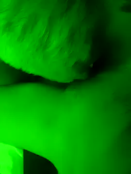 EleRohde online show from March 28, 2026, 4:19 pm