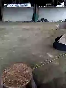 Snapshot of marylove-cc chatting on November 20, 2025, 2:12 am marylove-cc online show from November 20, 2025, 2:12 am