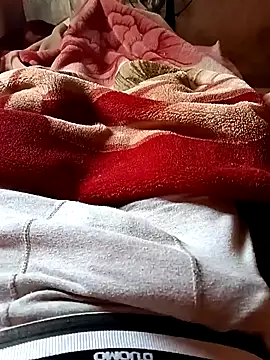 Snapshot of Brunim1869 chatting on February 24, 2026, 1:56 pm Brunim1869 online show from February 24, 2026, 1:56 pm