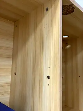 Winona88 online show from November 6, 2025, 9:02 am