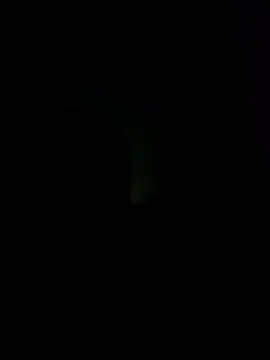 sexdol2 online show from December 1, 2025, 7:09 am