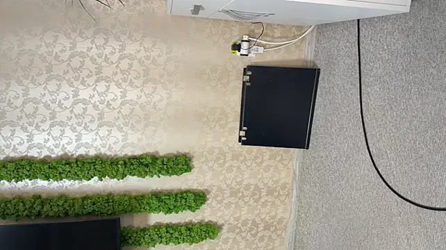 OliviaCart online show from April 10, 2026, 2:02 pm