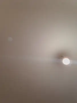 Snapshot of labellerose chatting on November 14, 2025, 6:11 pm labellerose online show from November 14, 2025, 6:11 pm