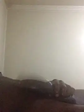 Snapshot of Sahrawi-fhal chatting on October 27, 2025, 12:44 am Sahrawi-fhal online show from October 27, 2025, 12:44 am