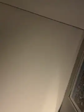 AlexGogo23 online show from December 20, 2025, 8:28 am