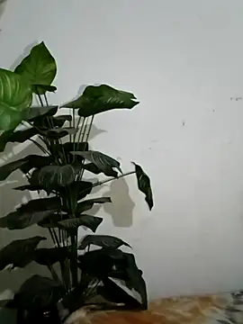 Jessica-03 online show from March 6, 2026, 5:52 pm