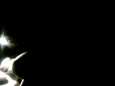 YoussefAl-Fahl online show from November 26, 2025, 10:54 pm