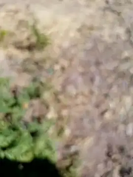 228fucker online show from January 7, 2026, 6:18 am