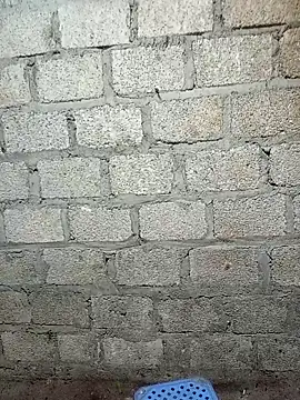 siusiu-00 online show from February 17, 2026, 7:55 pm