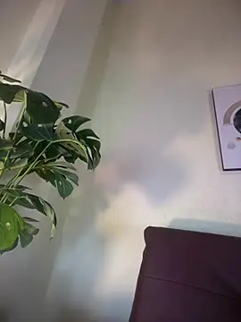 Snapshot of NovaFoxx chatting on February 15, 2026, 1:54 pm NovaFoxx online show from February 15, 2026, 1:54 pm