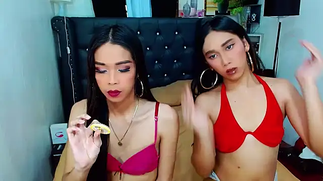 LovelyTs4U online show from November 28, 2025, 8:47 am