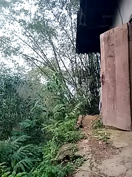 Myzak- online show from March 26, 2026, 11:19 am