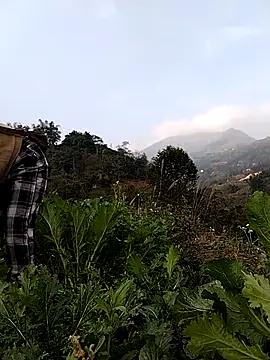 omai-ngot online show from January 19, 2026, 12:58 am