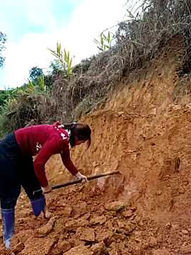 Snapshot of omai-ngot chatting on November 6, 2025, 1:20 am omai-ngot online show from November 6, 2025, 1:20 am